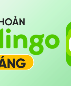 Duolingo Super 1 tháng - Tài khoản